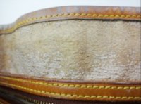 ImageUploadedByPurseForum1371368161.658136.jpg
