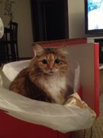 bellebx.jpg