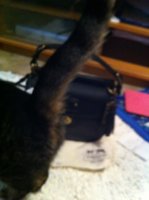 ImageUploadedByPurseForum1371619125.612476.jpg