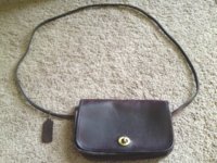 ImageUploadedByPurseForum1371820025.950998.jpg