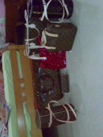 Family bags.jpg