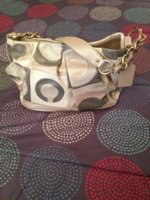ImageUploadedByPurseForum1372098263.185167.jpg
