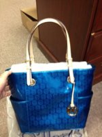 ImageUploadedByPurseForum1372100129.271915.jpg