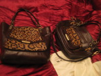 laila and tote 022.JPG