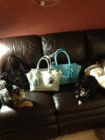 ImageUploadedByPurseForum1372534732.248444.jpg