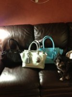 ImageUploadedByPurseForum1372534772.616728.jpg
