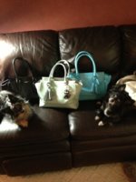 ImageUploadedByPurseForum1372534867.149989.jpg