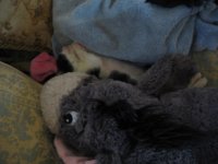 Skunk and ribbon 003.jpg