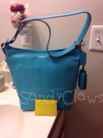 ImageUploadedByPurseForum1372743081.392892.jpg