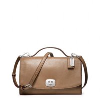 Ladybag.jpeg