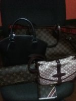 ImageUploadedByPurseForum1372862466.083070.jpg