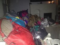 ImageUploadedByPurseForum1372924114.941492.jpg