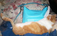 twinkie and courtenay010.jpg