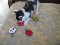 Charms 013.jpg
