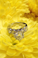 see thru cu more yellow.png