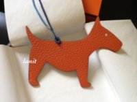 Orangedogdetail.JPG