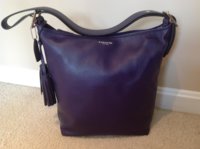ImageUploadedByPurseForum1373484046.095763.jpg