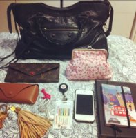 ImageUploadedByPurseForum1373491807.519691.jpg