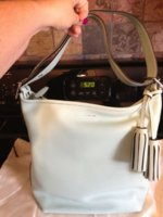 ImageUploadedByPurseForum1373670449.158233.jpg