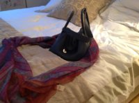 ImageUploadedByPurseForum1373815894.608052.jpg