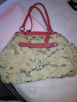 ImageUploadedByPurseForum1373936765.950268.jpg
