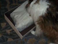 Box4.JPG