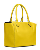 yellow3.jpg