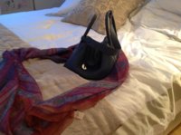 ImageUploadedByPurseForum1374518094.746557.jpg