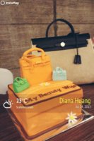 ImageUploadedByPurseForum1374730866.076060.jpg