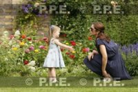 ImageUploadedByPurseForum1374841523.704788.jpg