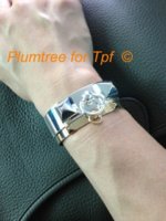ImageUploadedByPurseForum1374853646.449656.jpg