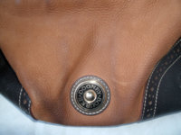 dooney023.jpg