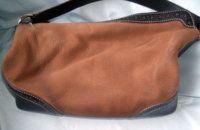 dooney021.jpg