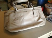 ImageUploadedByPurseForum1374983195.094744.jpg