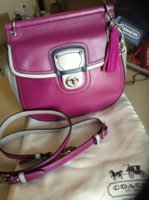 ImageUploadedByPurseForum1374983572.063146.jpg