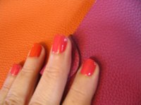 Ulysse with Nails 004.jpg