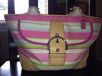 ImageUploadedByPurseForum1375153307.437900.jpg