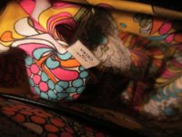 IMG_1649 small.jpg