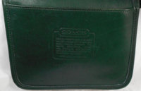 green-bag-1.jpg