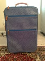 ImageUploadedByPurseForum1375403454.387400.jpg