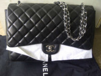 Front 1 - Maxi Black Lamb Shw#13 Sf.jpg
