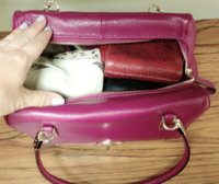 ImageUploadedByPurseForum1375488805.420637.jpg