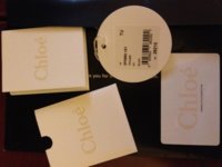 Chloe 6.jpg