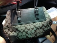 ImageUploadedByPurseForum1376077549.384927.jpg