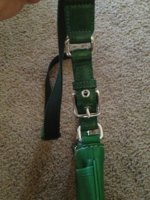 ImageUploadedByPurseForum1376239170.329804.jpg