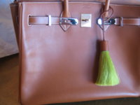 Rouge H and Charms 027.jpg