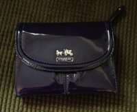 ImageUploadedByPurseForum1376613626.971401.jpg