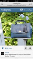 ImageUploadedByPurseForum1376615311.020847.jpg