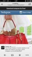 ImageUploadedByPurseForum1376615508.220793.jpg