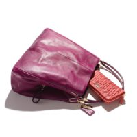 ImageUploadedByPurseForum1376615660.403739.jpg